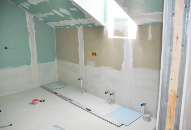 Trusted Walled Lake, MI Mold Removal Experts