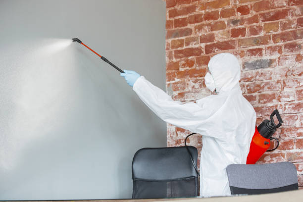 Best Environmental Consulting for Mold Prevention  in Walled Lake, MI