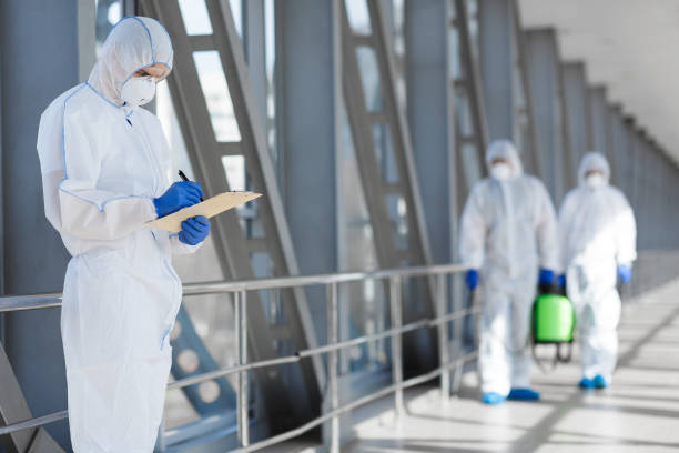 Best Mold Damage Restoration  in Walled Lake, MI