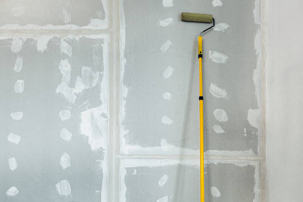 Trusted Walled Lake, MI Mold Removal Experts