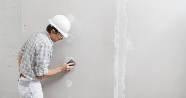 Best Mold Odor Removal Services  in Walled Lake, MI