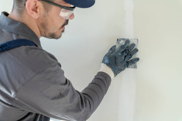 Best Black Mold Removal  in Walled Lake, MI