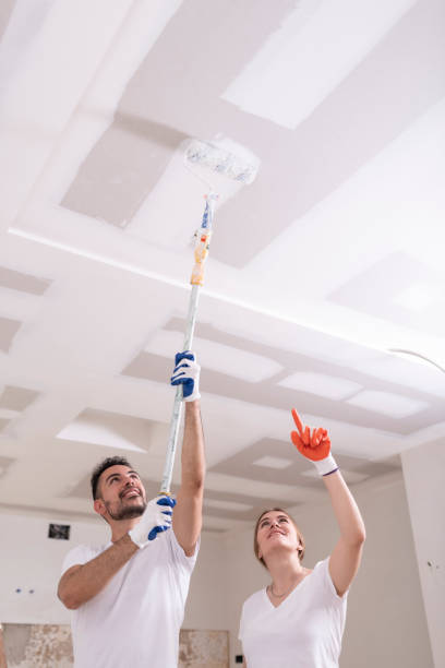 Best Residential Mold Inspection & Testing  in Walled Lake, MI