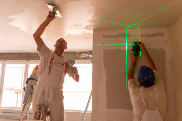 Best Airborne Mold Testing  in Walled Lake, MI