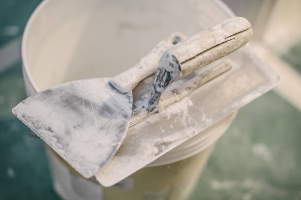Best Mold Odor Removal Services  in Walled Lake, MI