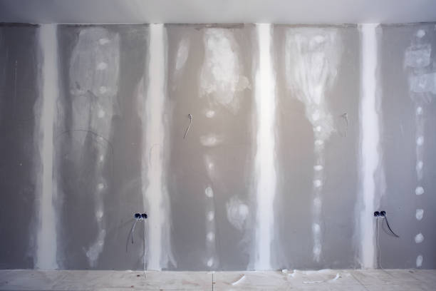Best Comprehensive Air Testing for Mold Contaminants  in Walled Lake, MI